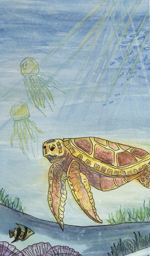 Image of a watercolour painting showing an underwater scene with a turtle, fish and two jellyfish