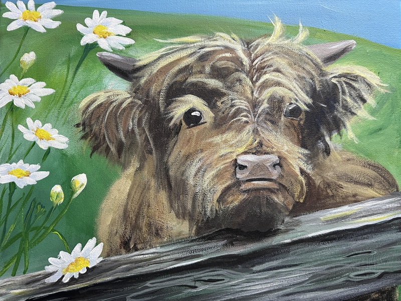 Image of an acrylic painting featuring a young highland cow resting it's chin on a wooden fence with daisies to the left of it. By artist and instructor Rachel Harbour.